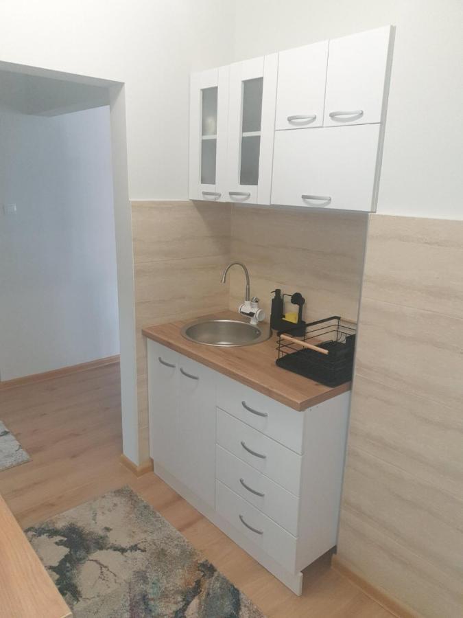 Apartment Sani Vrnjci
